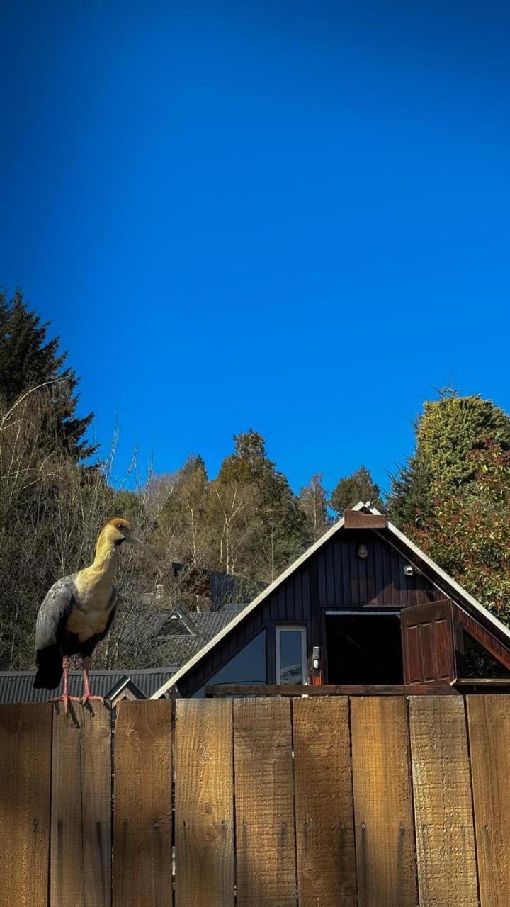 Alaska Patagonia Hostel
